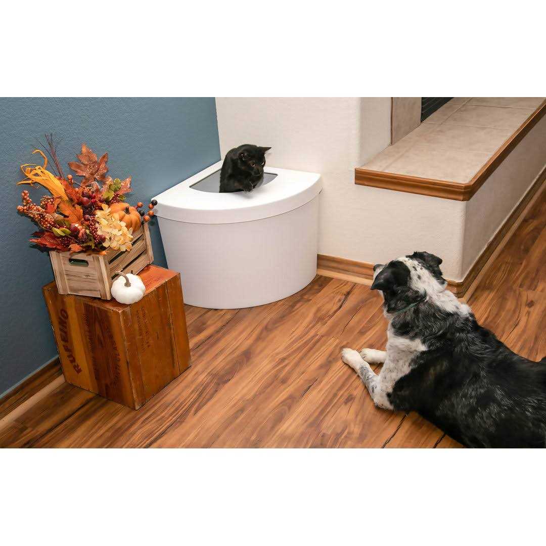 Standard Litter Box Kitangle