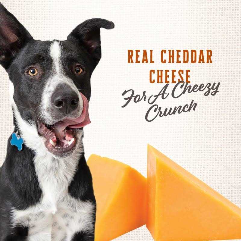 Wholesomes Gourmet Rewards Cheezy Bites Dog Treats