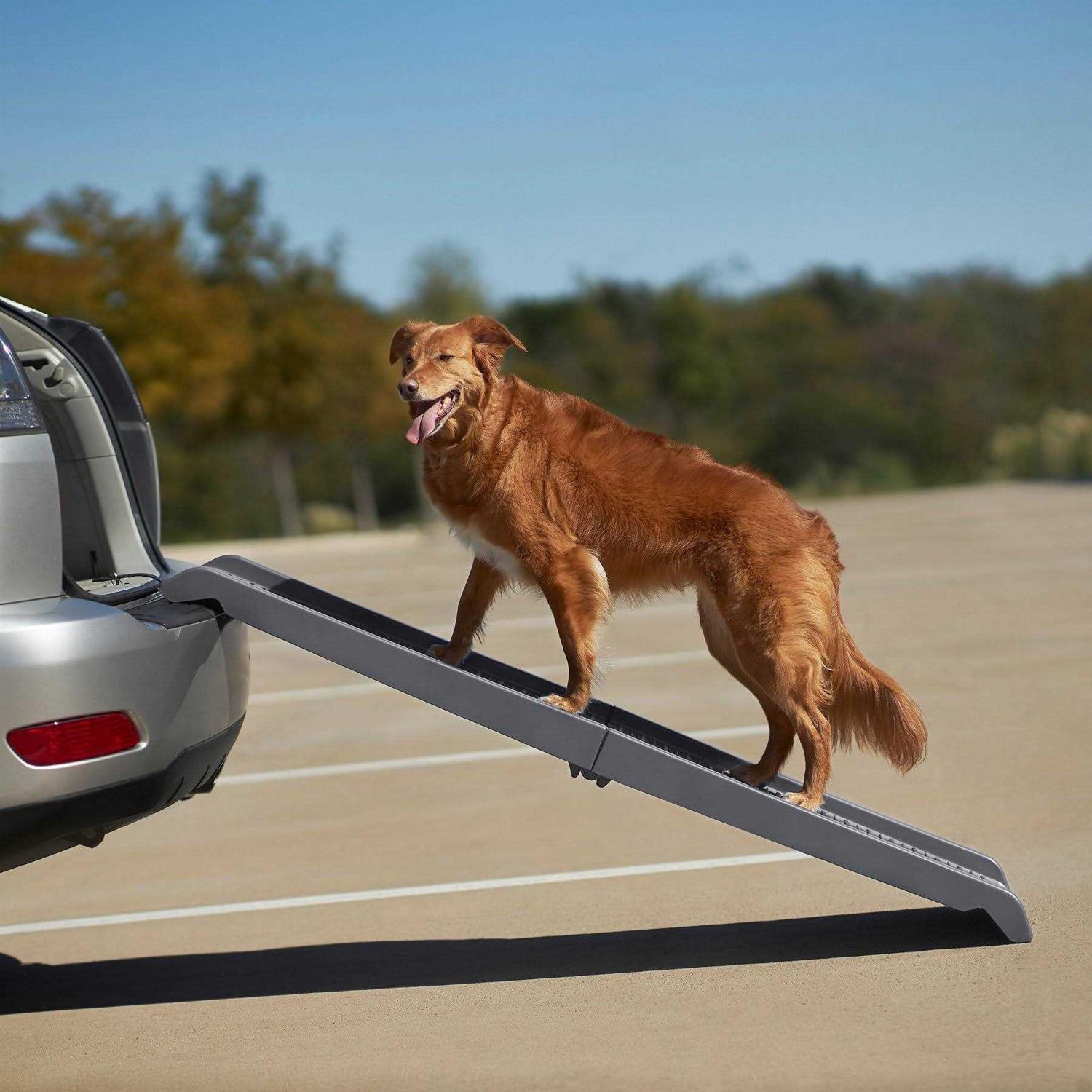 Frisco Bi-Fold Plastic Travel Pet Ramp