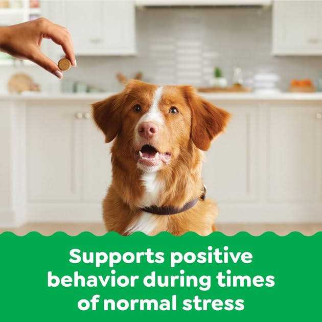 Greenies Supplements Calming Chews for Dogs Chicken Flavor