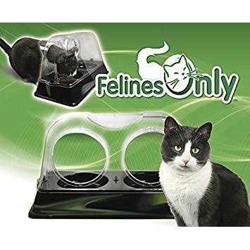 Felines Only the Purrrfect Cat Dish Veterinarian Designed Cat Feeding Bowl that Keeps Dogs Out of the Cat Food