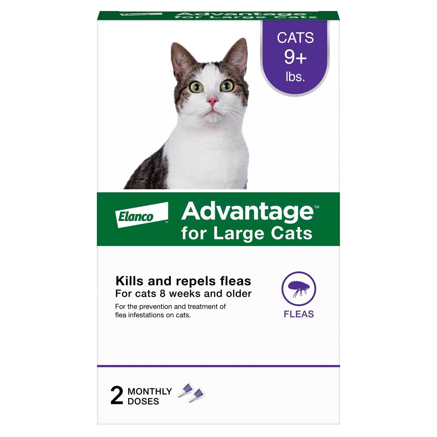 Advantage Topical Flea Prevention for Large Cats