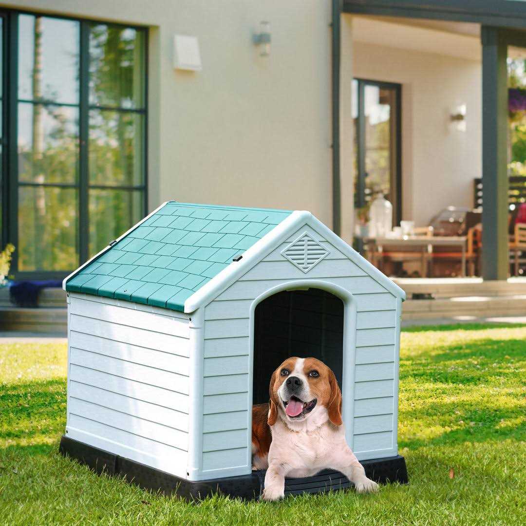 Shelia Plastic Dog House Archie & Oscar