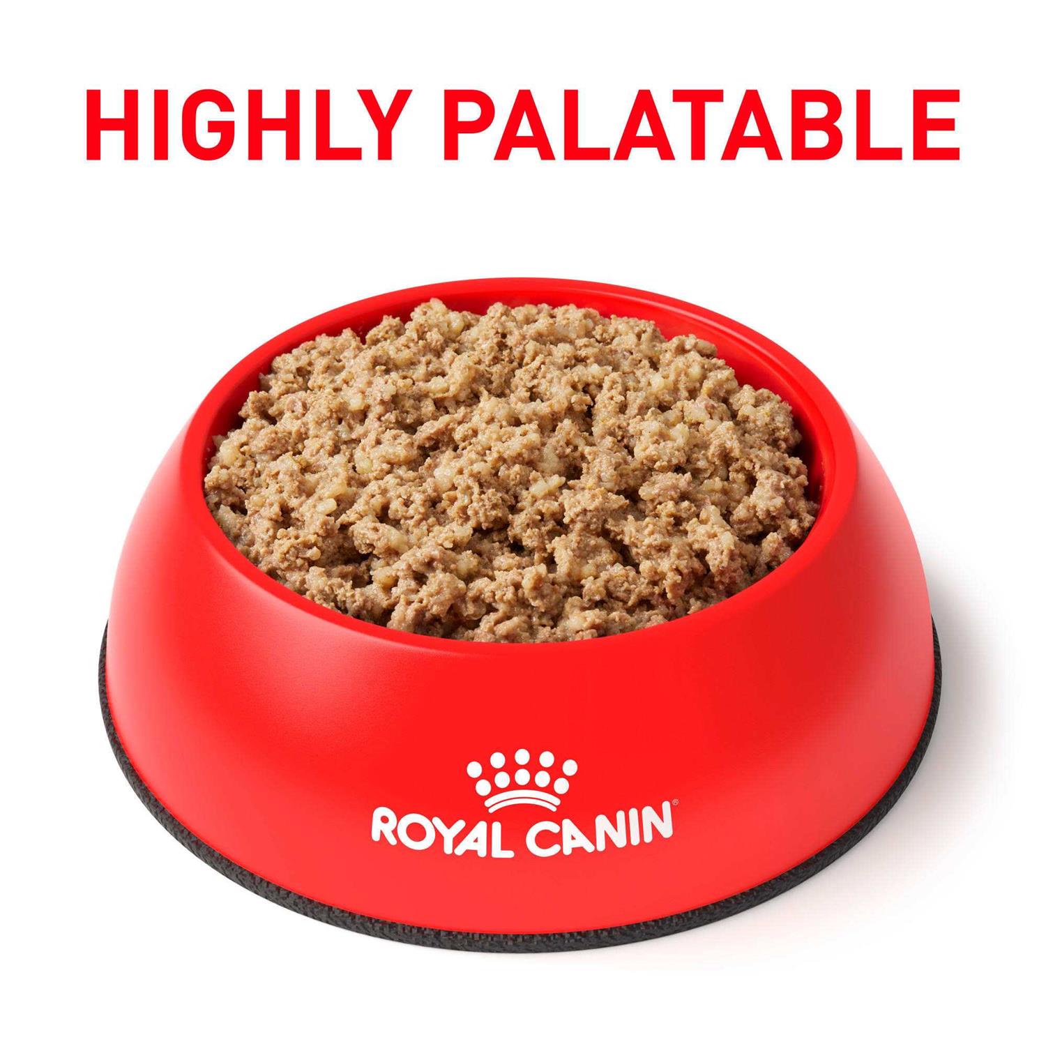 Royal Canin Veterinary Diet Gastrointestinal Loaf Canned Dog Food