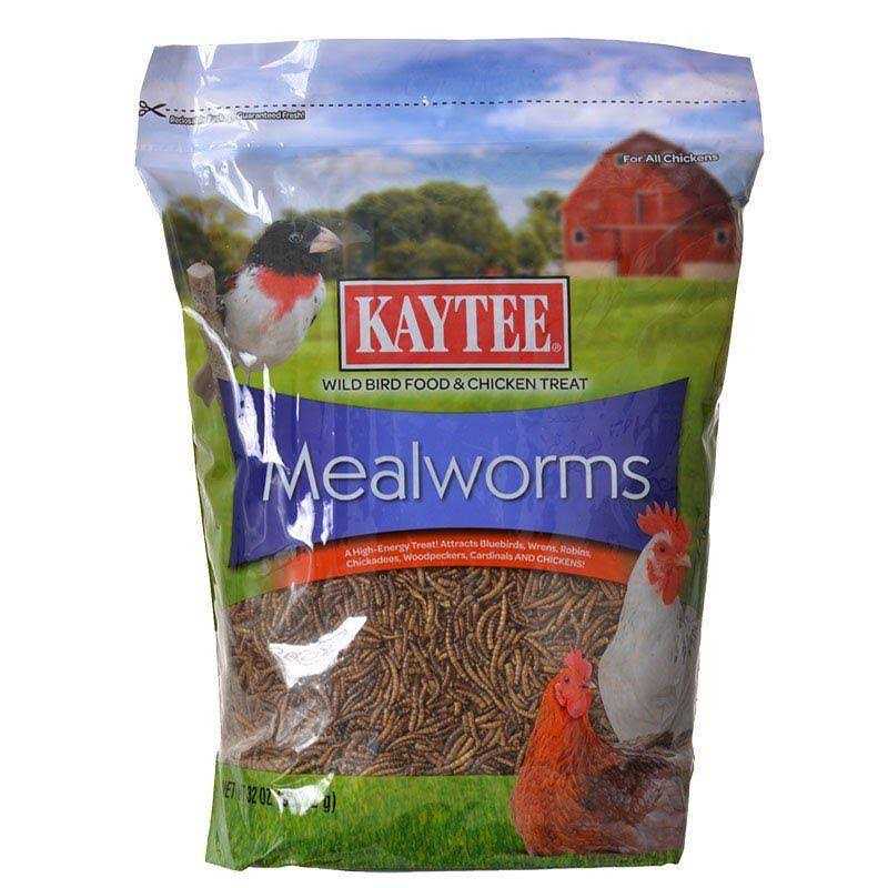 Kaytee Mealworms Bird Food