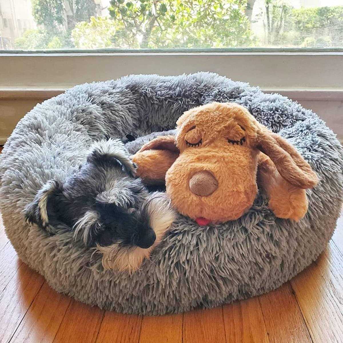Snuggle Puppy Starter Kit
