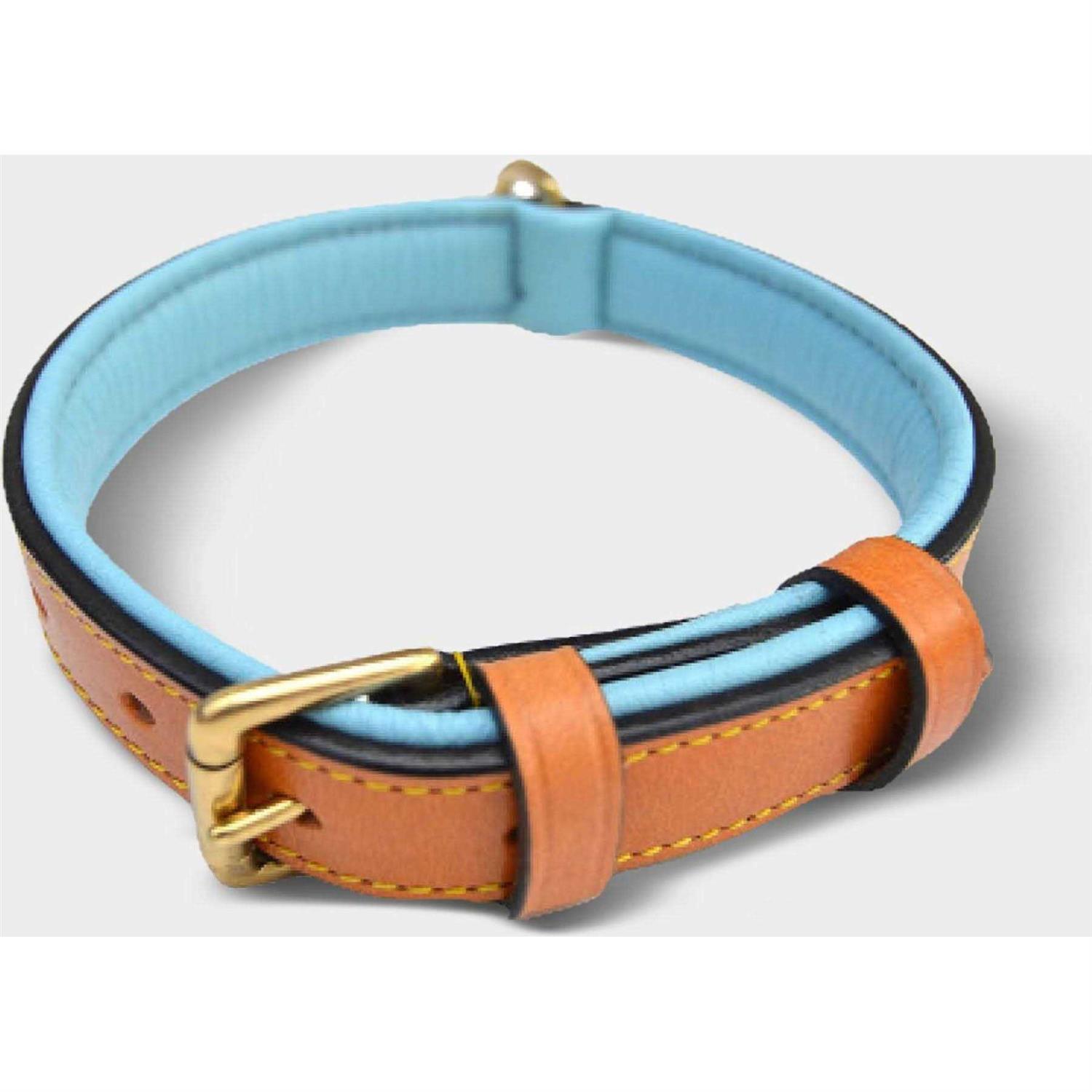 Soft Touch Collars Leather Dog Collar Padded
