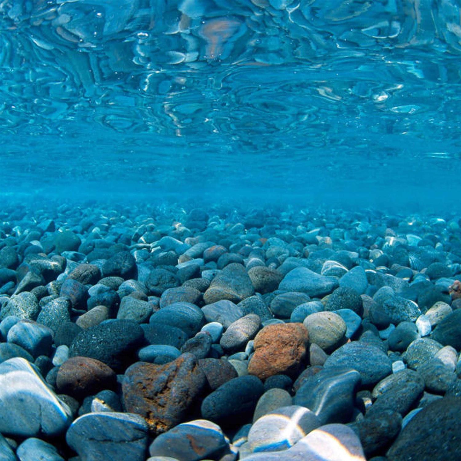 Seaview River Rock/Coral Bliss Background