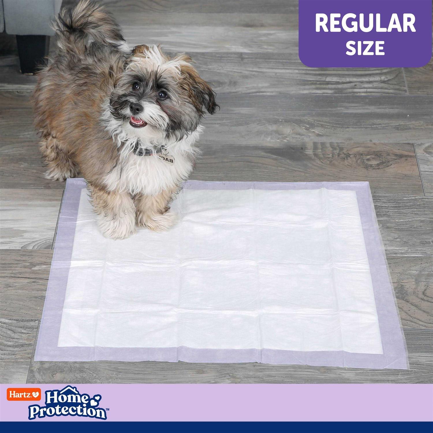 Hartz Home Protection Lavender Scent Odor Eliminating Dog Pads