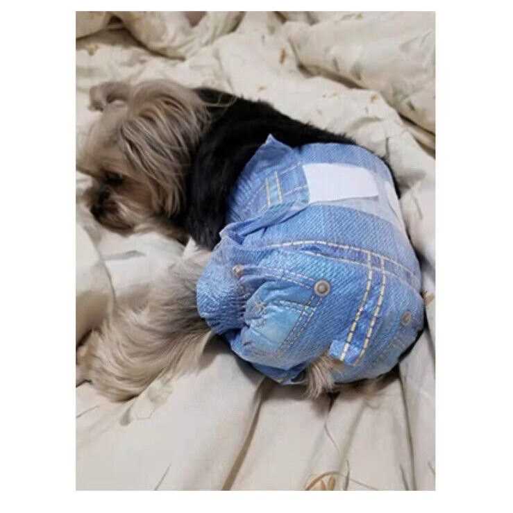 Pet Soft Dog Diapers Female Disposable Dog Diapers