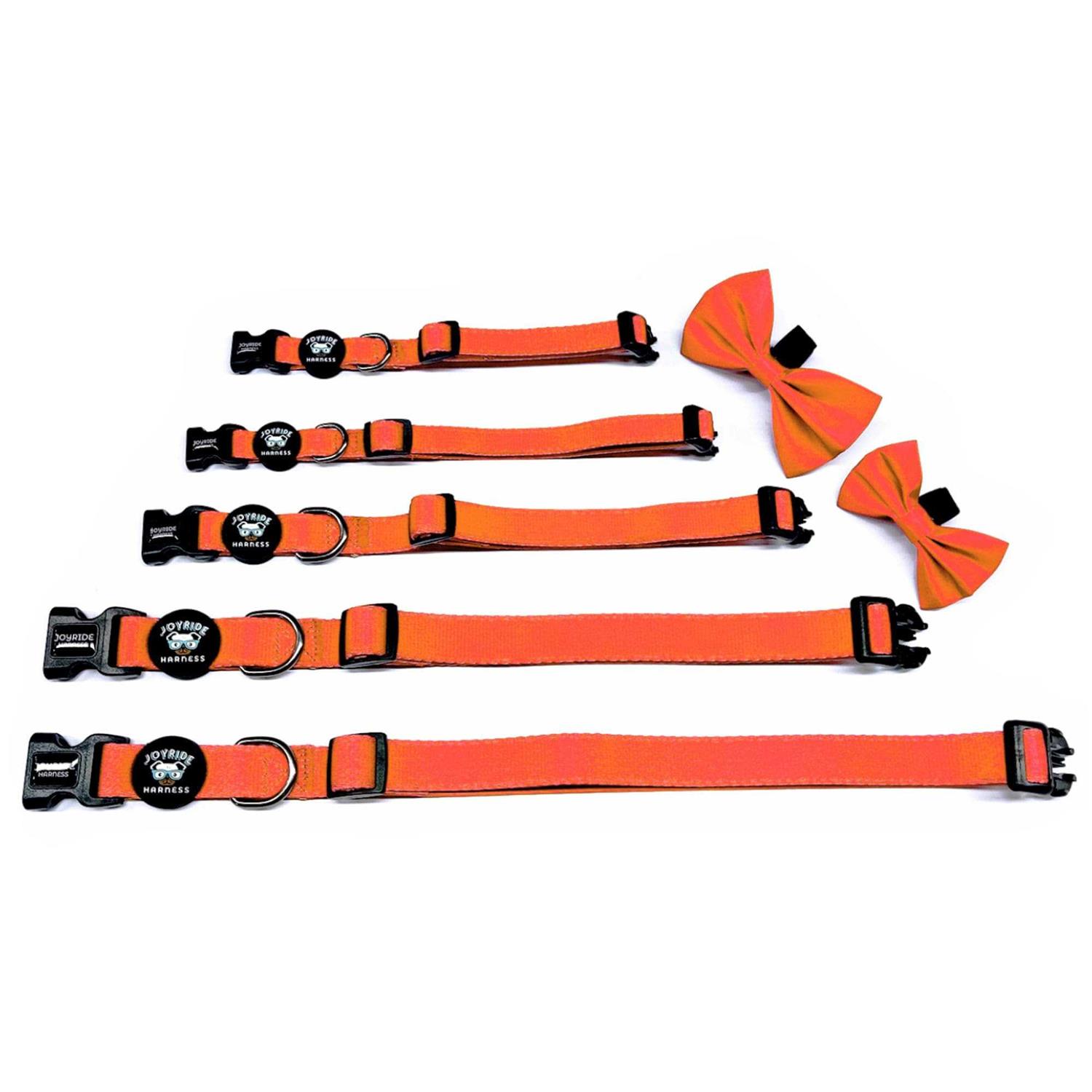 Joyride Harness Dog Collar + Removable Bow Tie