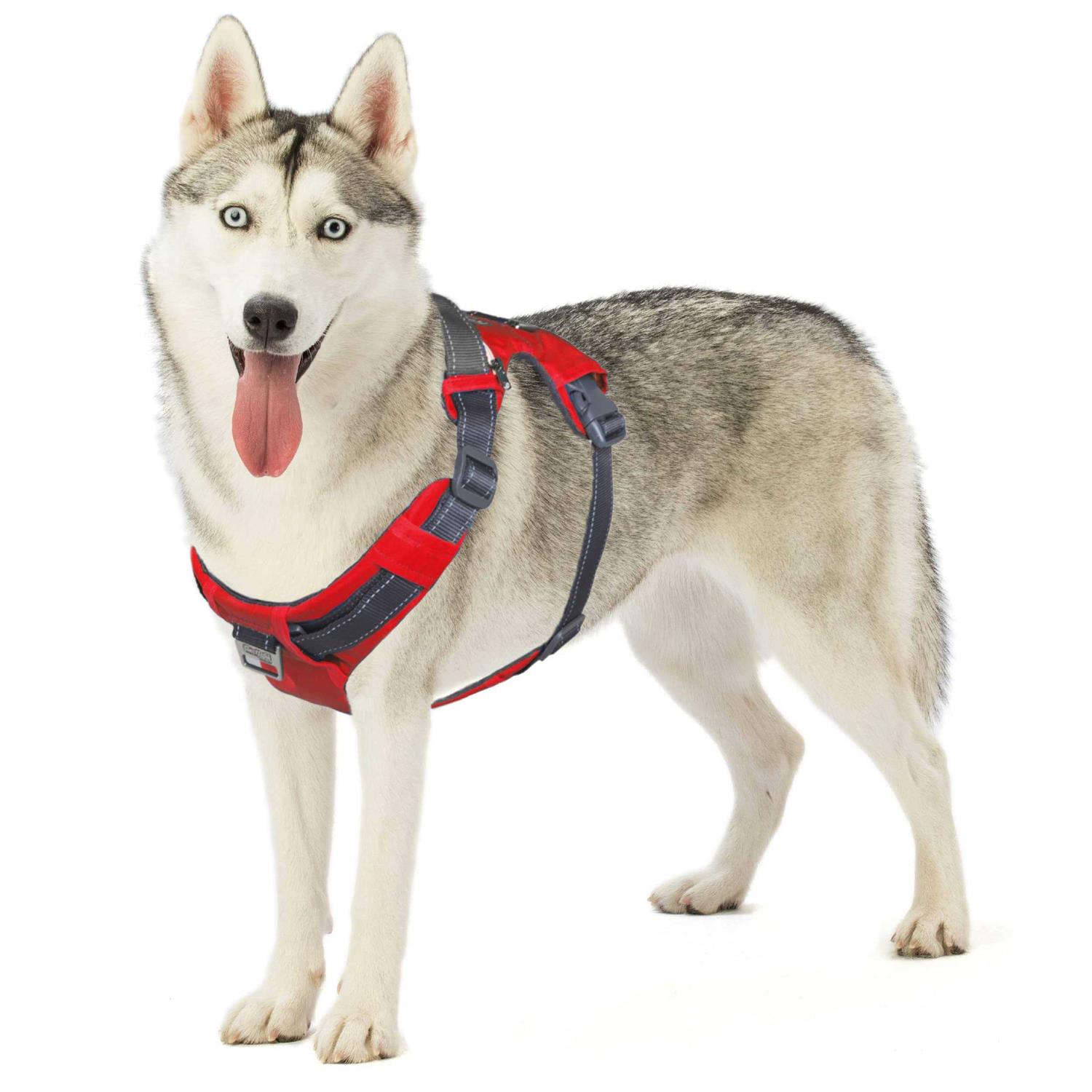 Outward Hound Boulder Adventure Adjustable Dog Harness with Pockets