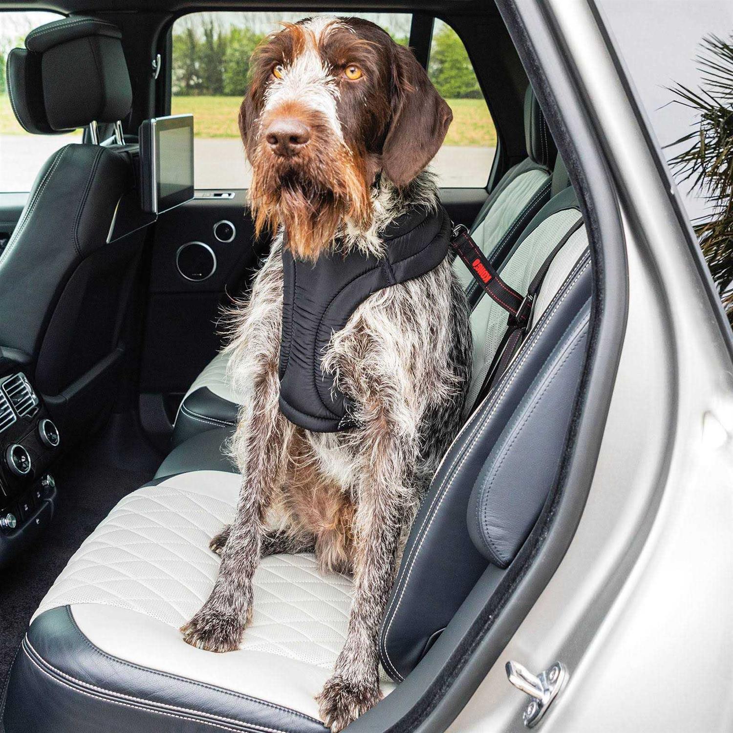 Kong Ultimate Safety Car Seat Tether