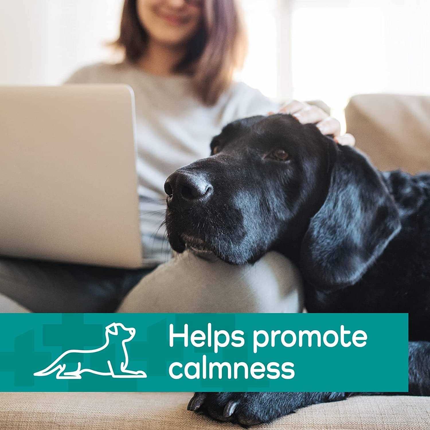 Vetality Hemp Helpers Collar for Dogs