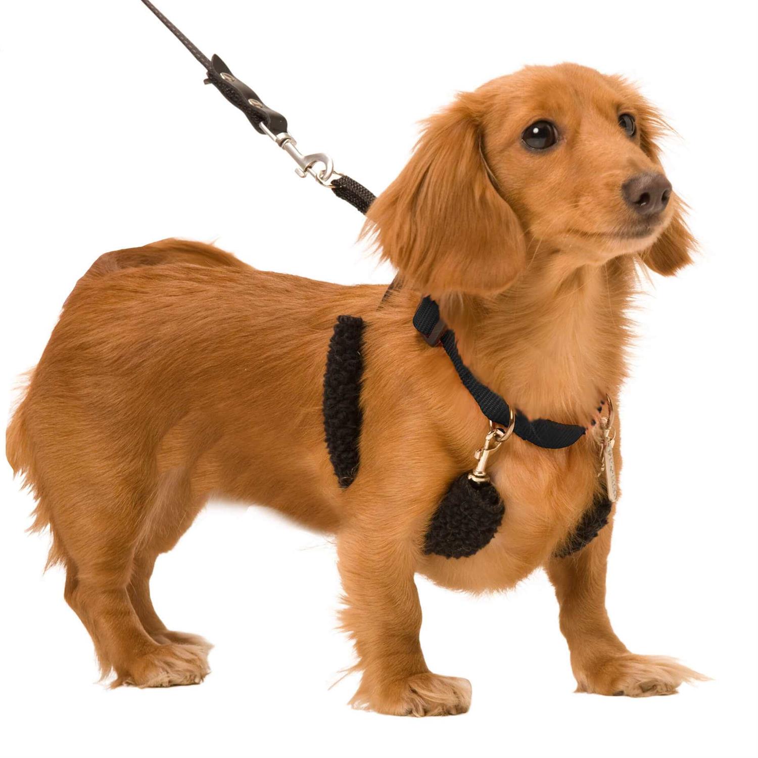 Sporn Halter