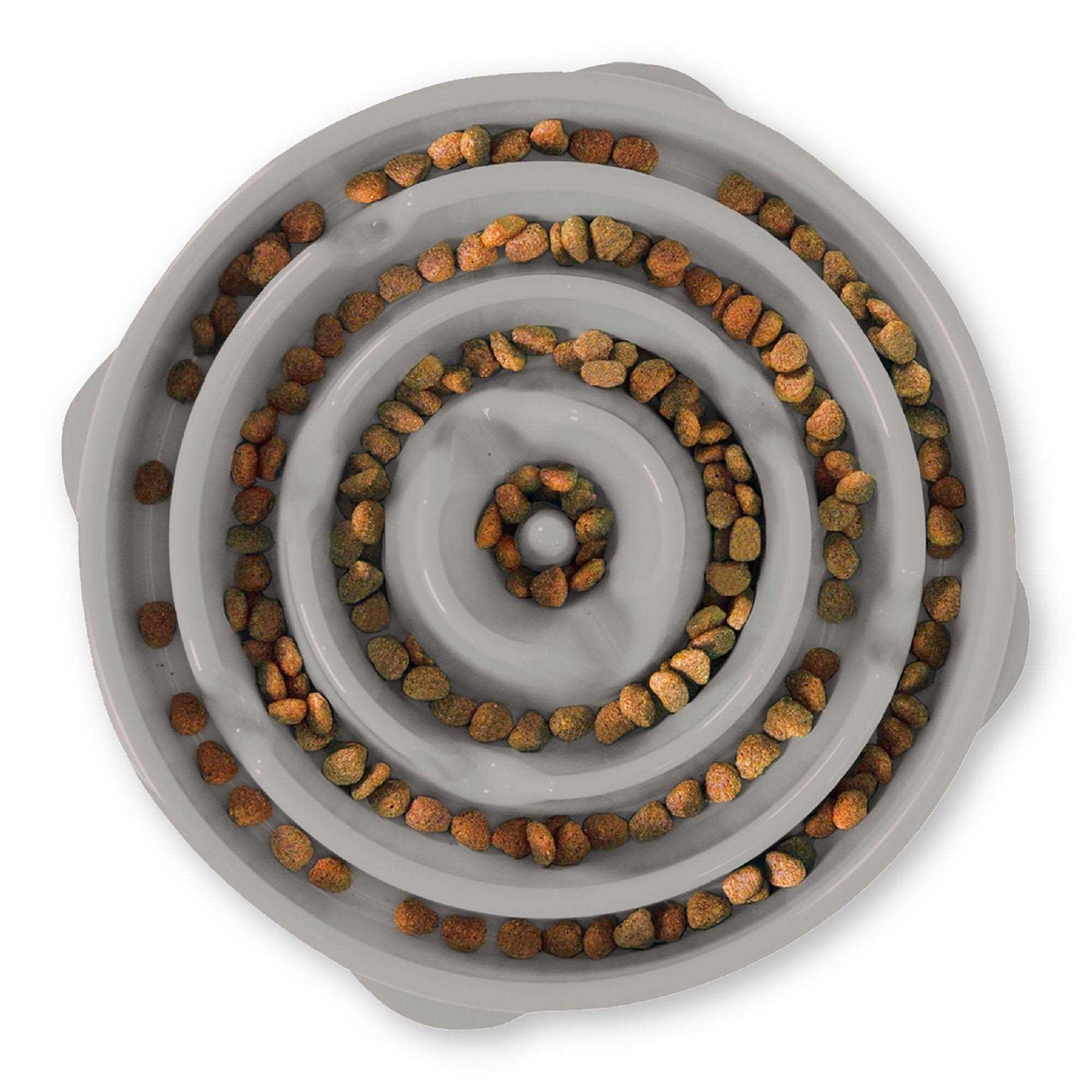 Outward Hound Fun Feeder Slow Dog Bowl