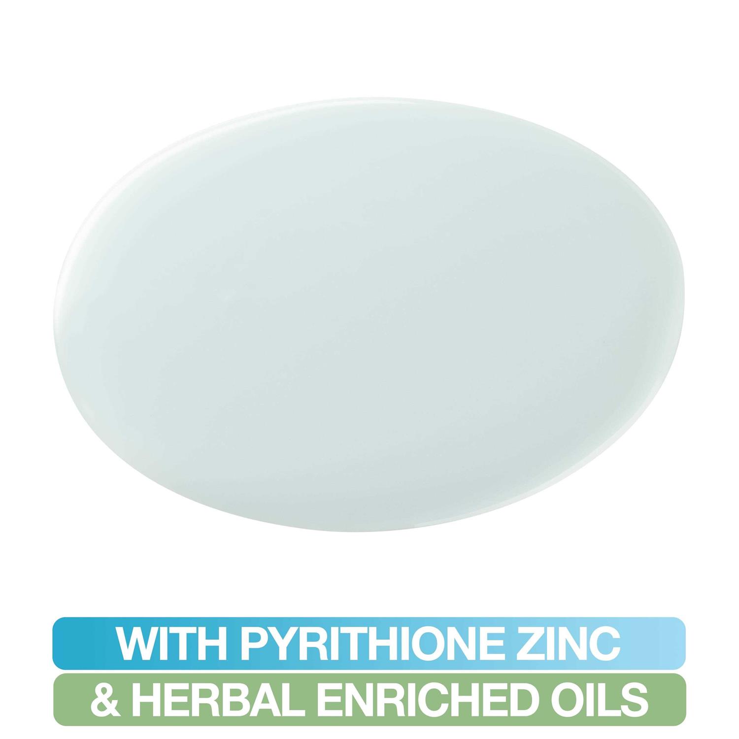 Mane ‘N Tail Anti-Dandruff 2 in 1 Shampoo/Conditioner