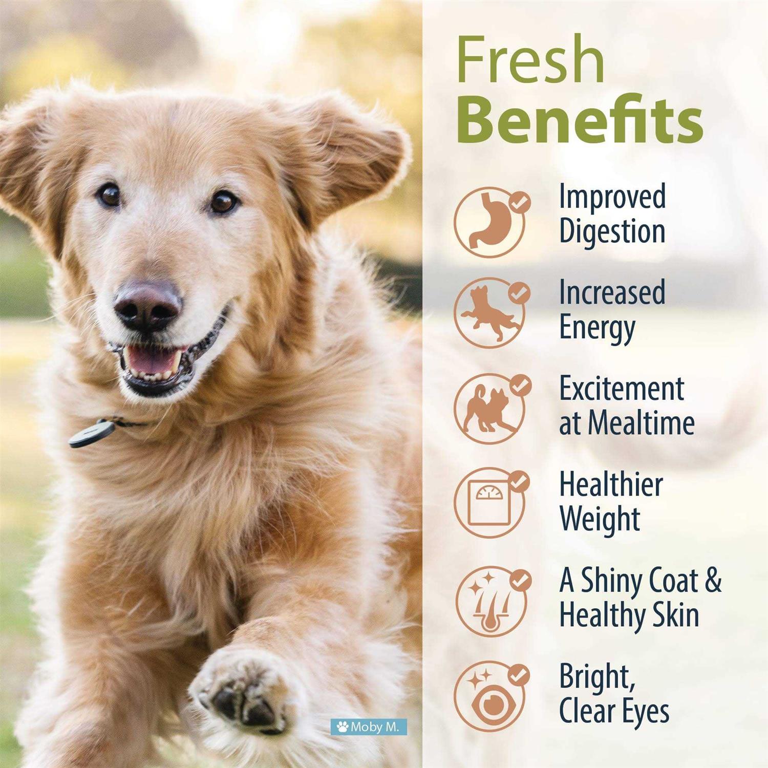 JustFoodForDogs Frozen Fresh Dog Food Human