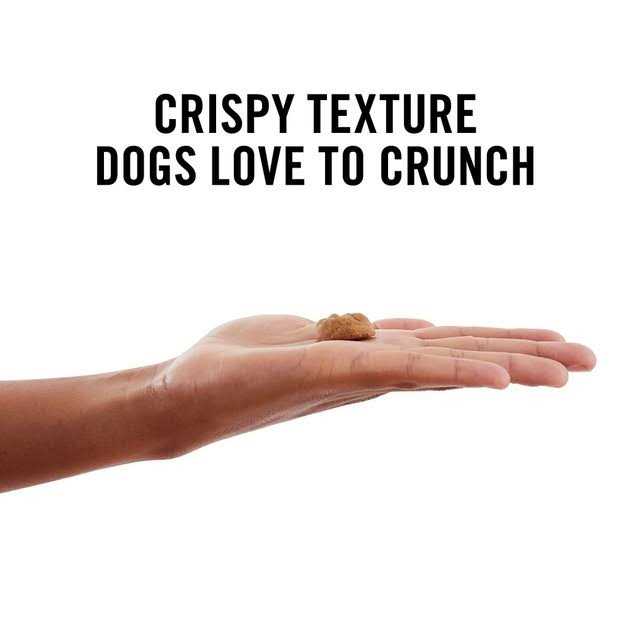 American Journey Peanut Butter Recipe Grain-Free Oven Baked Crunchy Biscuit Dog Treats