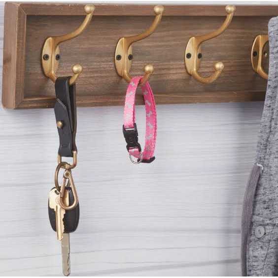 Vibrant Life Reflective Dog Collar