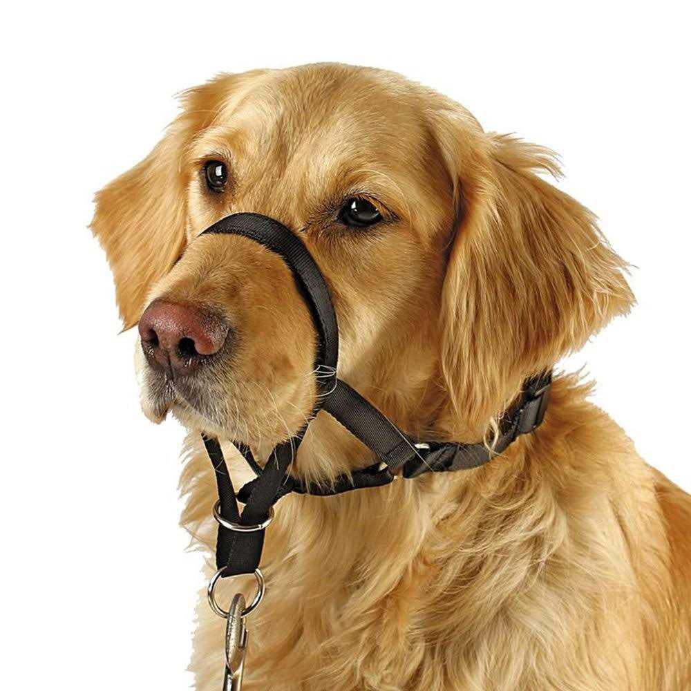 Barkless Dog Head Collar No Pull Training Tool for Dogs on Walks