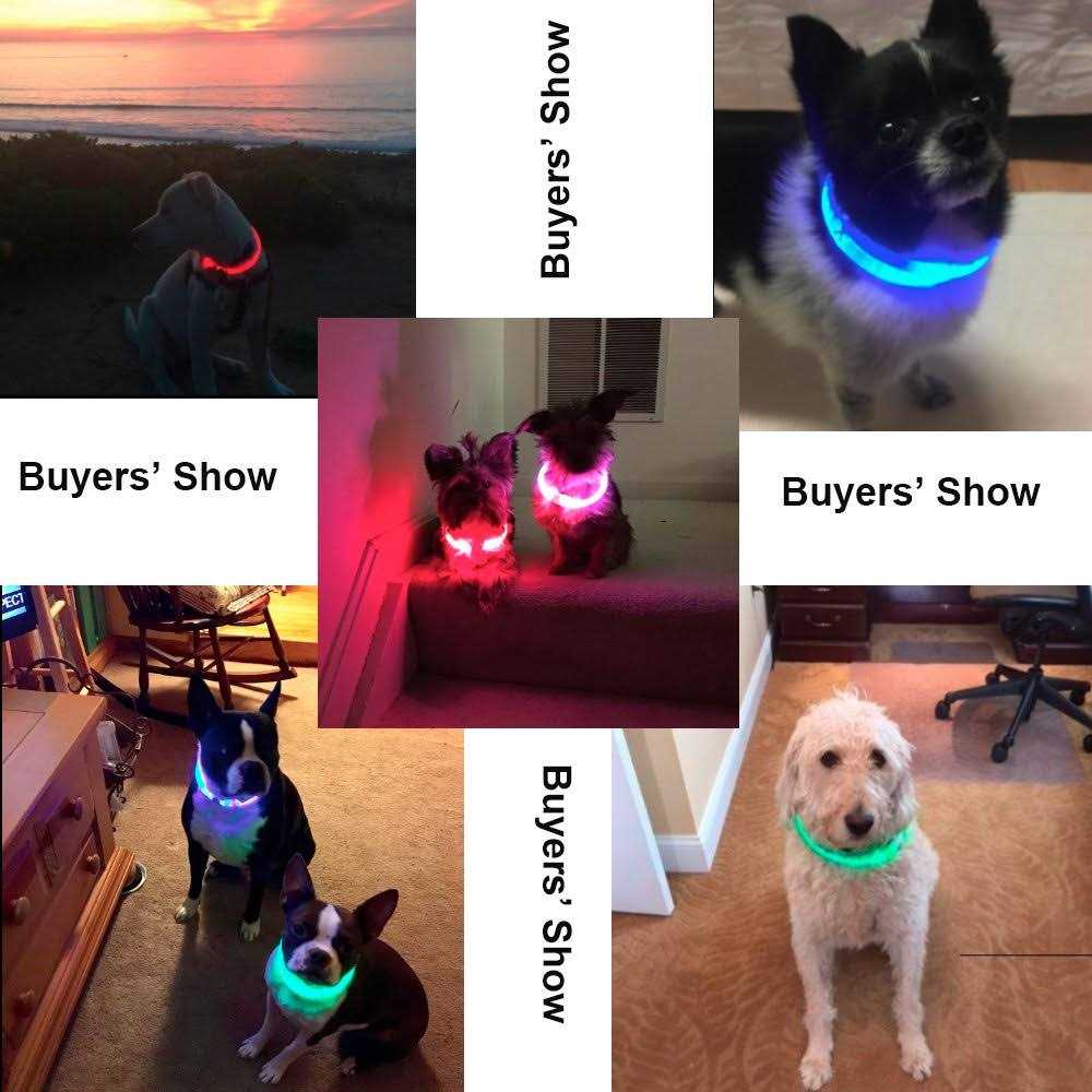 BSEEN Light Dog Collars Rechargeable LED Dog Collar Collar