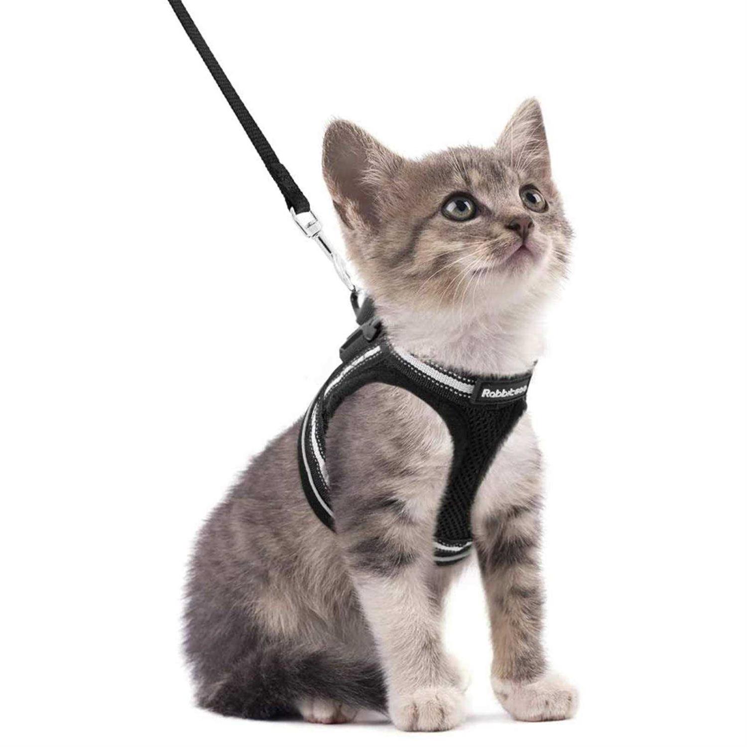Rabbitgoo Cat Harness and Leash for Walking Escape Proof Soft Adjustable Vest Harnesses for Cats