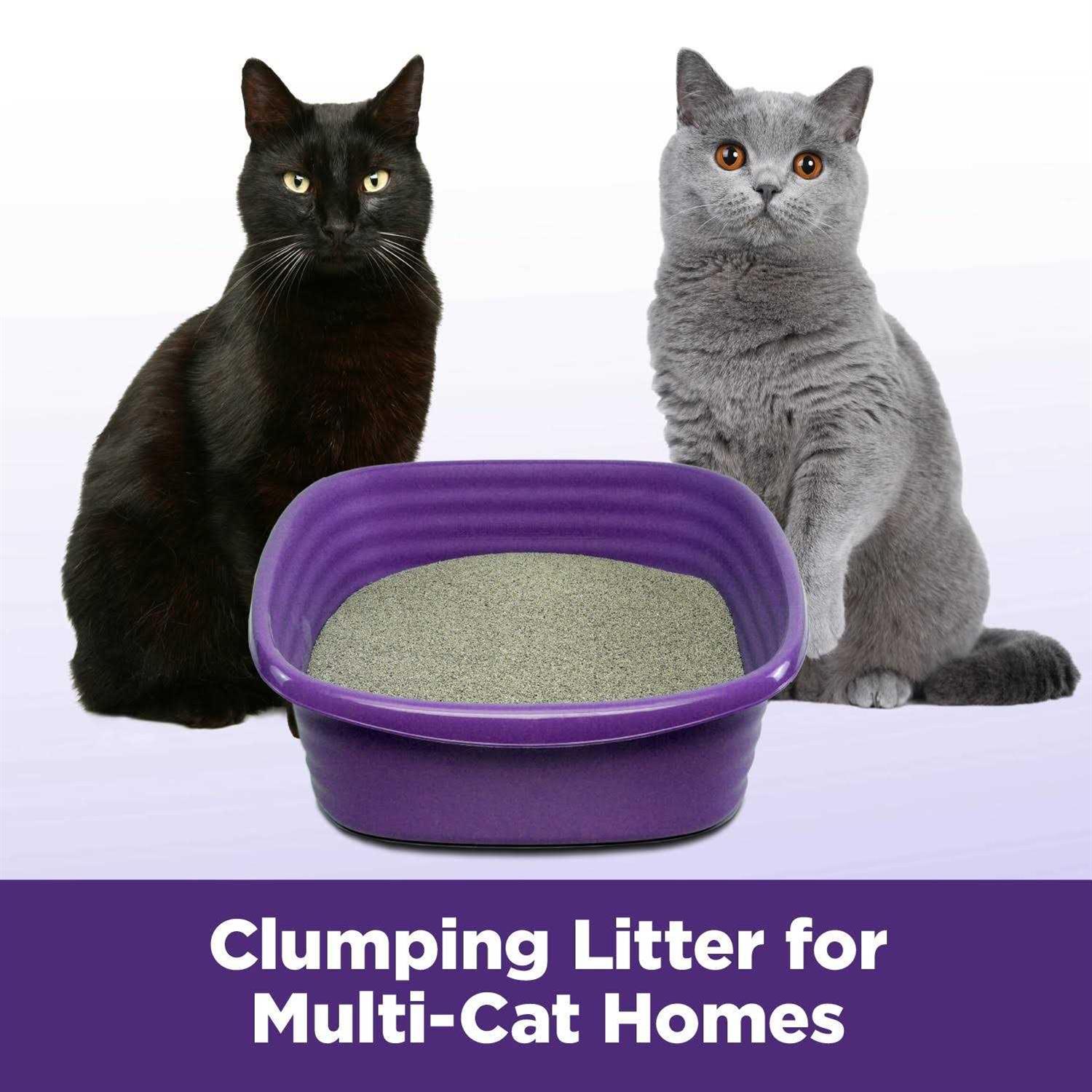 Arm & Hammer Slide Easy Clean-Up Clumping Cat Litter