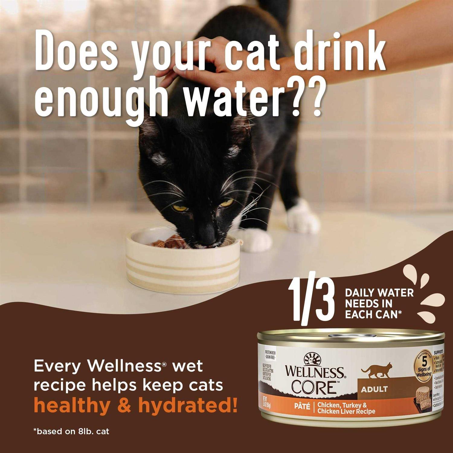 Wellness CORE Natural Grain-Free Chicken Turkey & Chicken Liver Pate Canned Cat Food