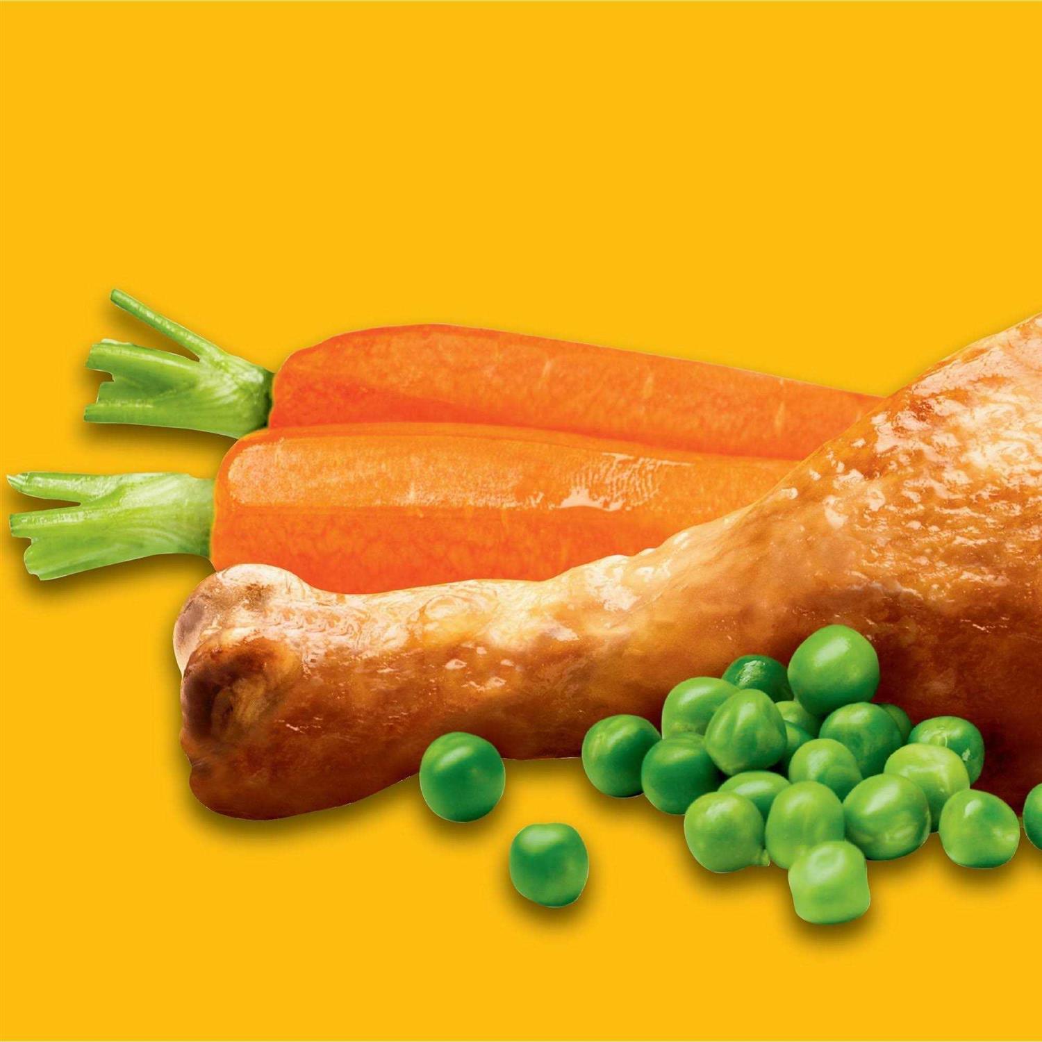 Pedigree Complete Nutrition Adult Dry Dog Food