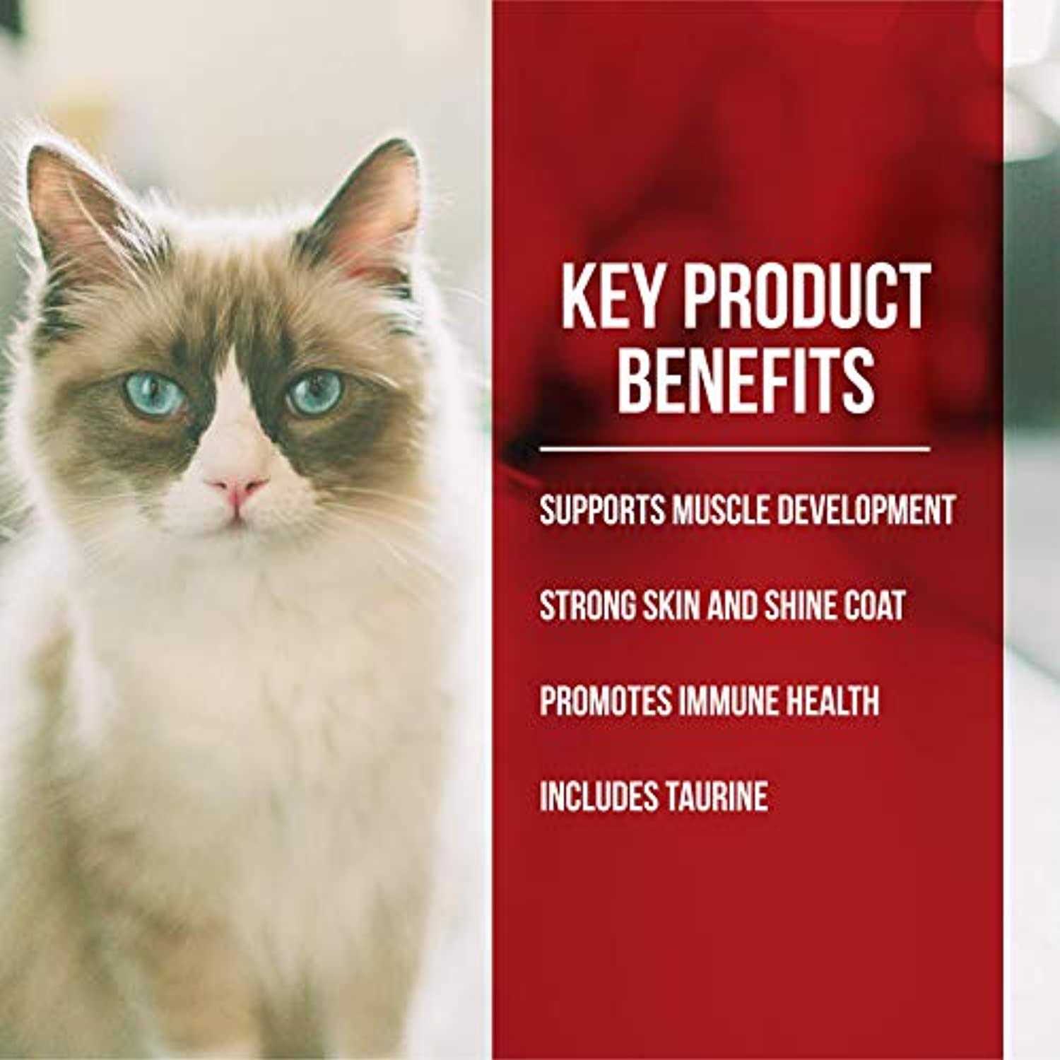 Fussie Cat Dry Cat Food Market Fresh Chicken Turkey