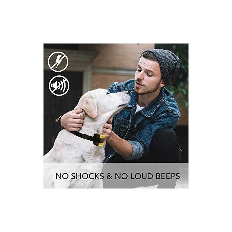 Downtown Pet Supply Citronella Bark Collar