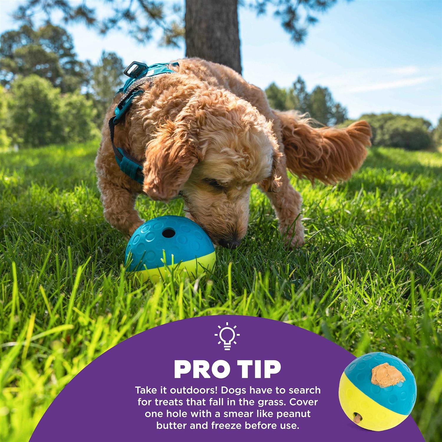 Nina Ottosson Treat Tumble Dog Toy