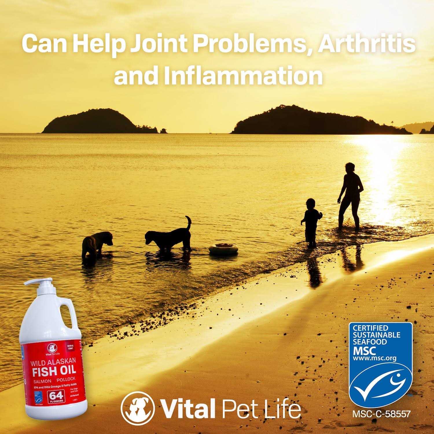 Vital Pet Life Fish Oil for Dogs