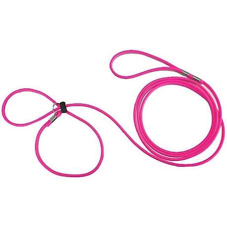 Piggy Poo and Crew Adjustable Mini Pig Harness and Leash