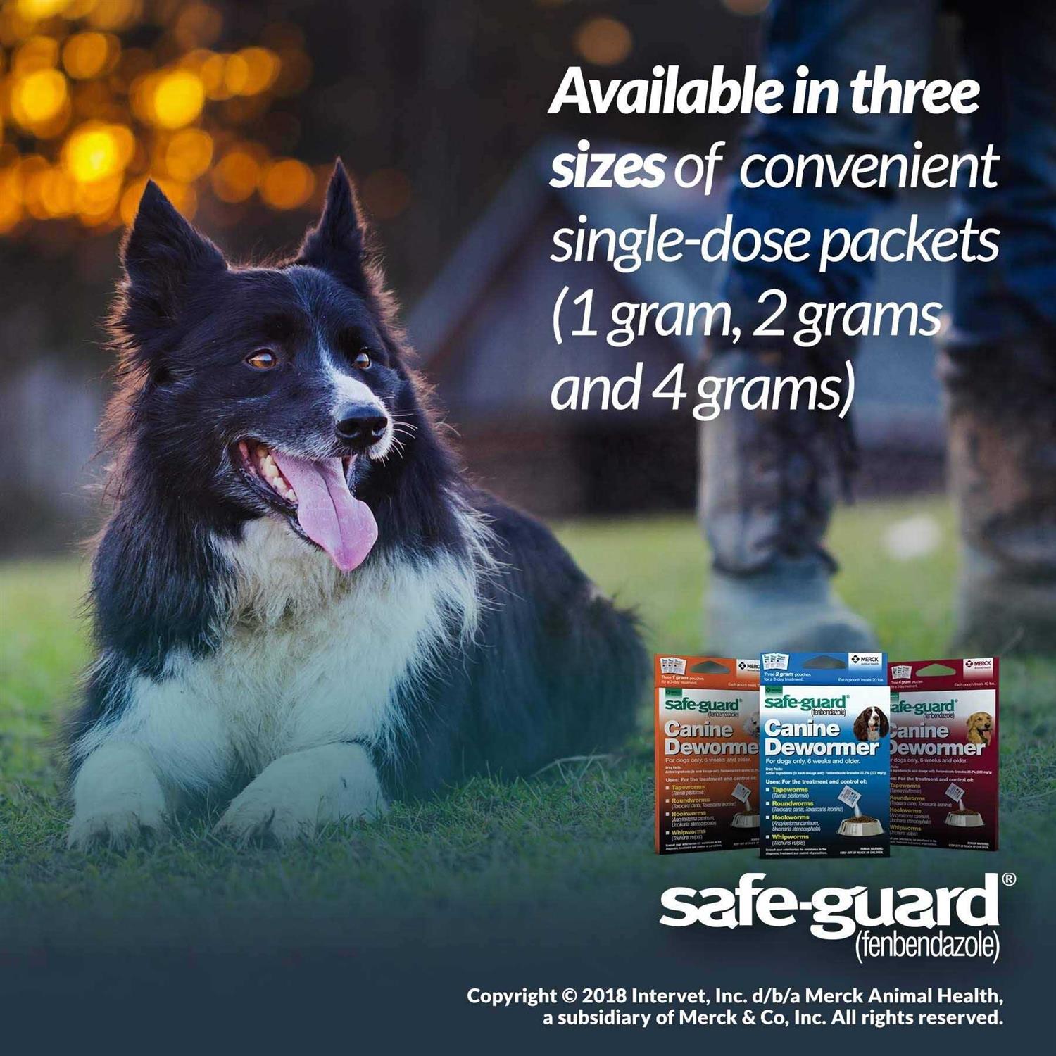 Safe-Guard Canine Dewormer