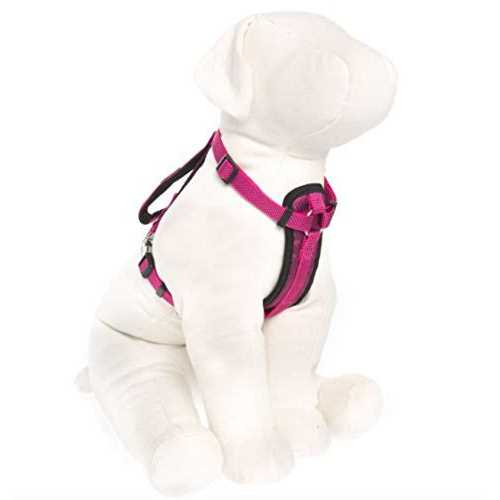 Kong Comfort Padded Chest Plate Dog Harness
