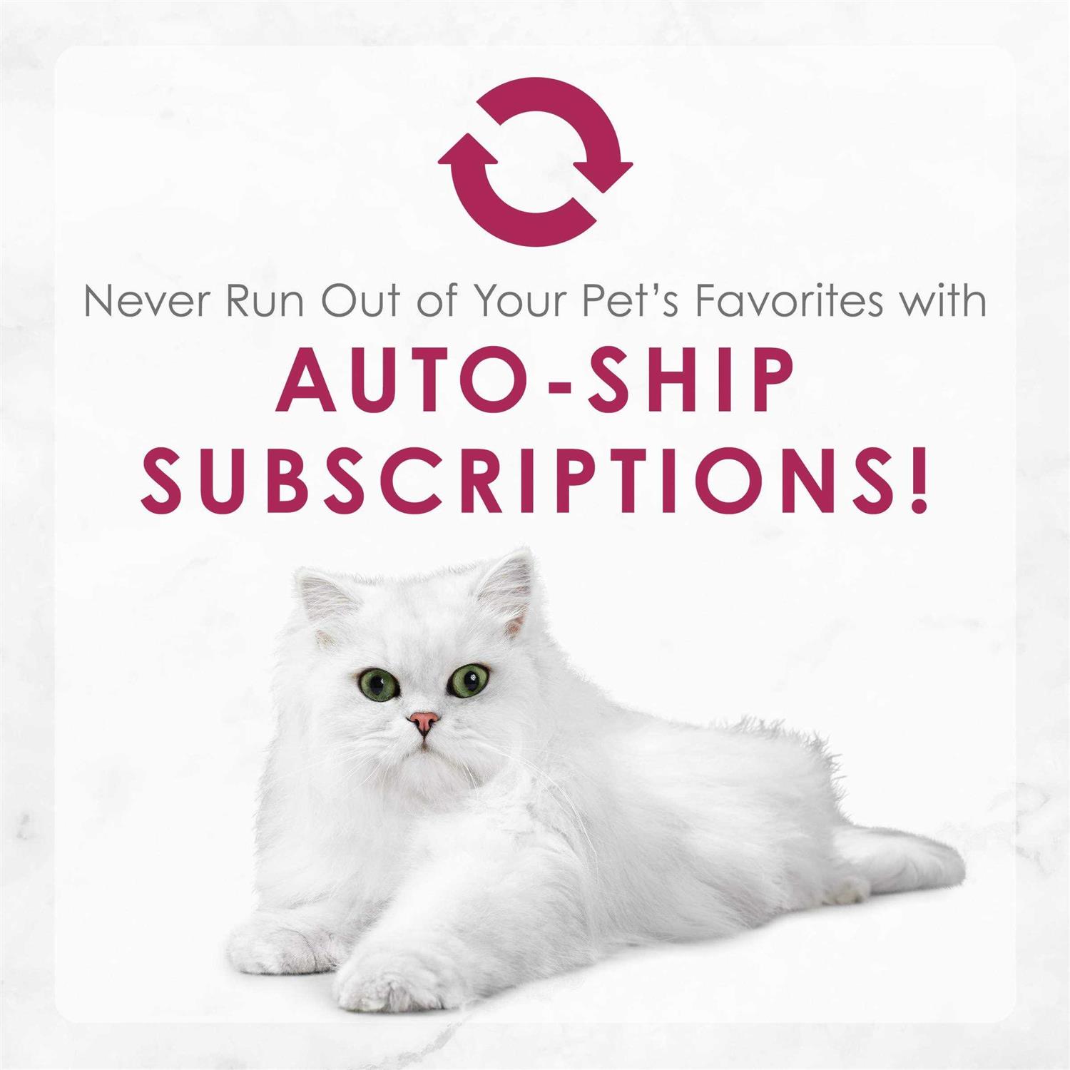 Fancy Feast Feast Senior Pate Cat Food