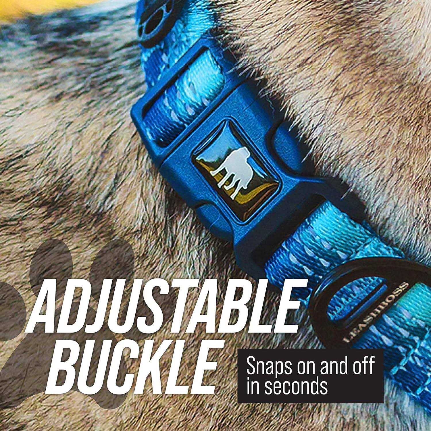 Leashboss Patterned Fabric Martingale Dog Collar