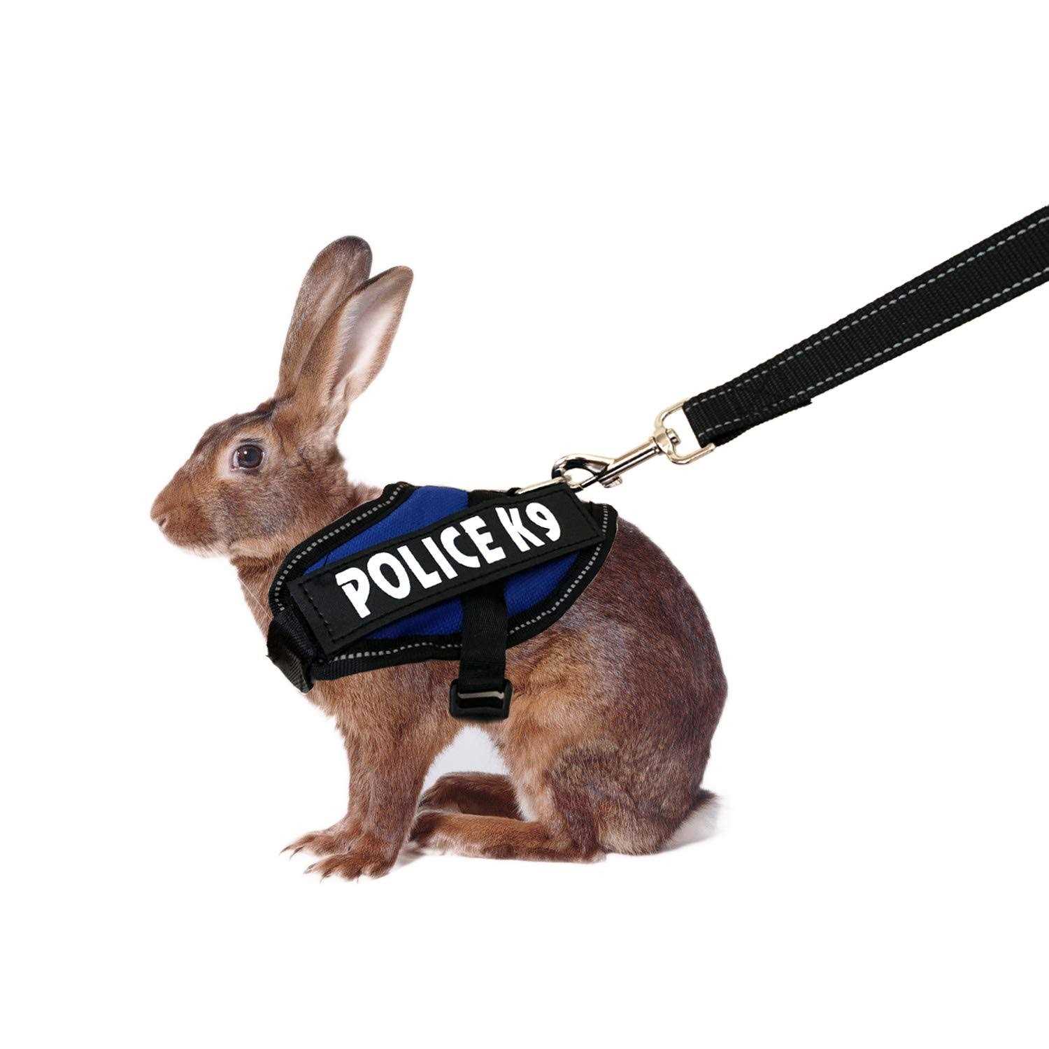 Vehomy Rabbit Harness with Leash for Bunny Rabbits Cats