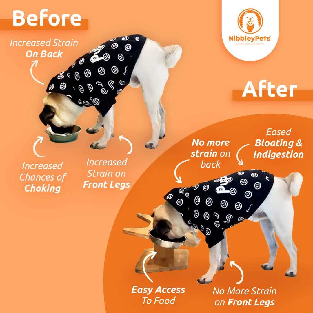 Nibbleypets Elevated Dog Bowl Stand with Stainless-Steel Food and Water Bowls