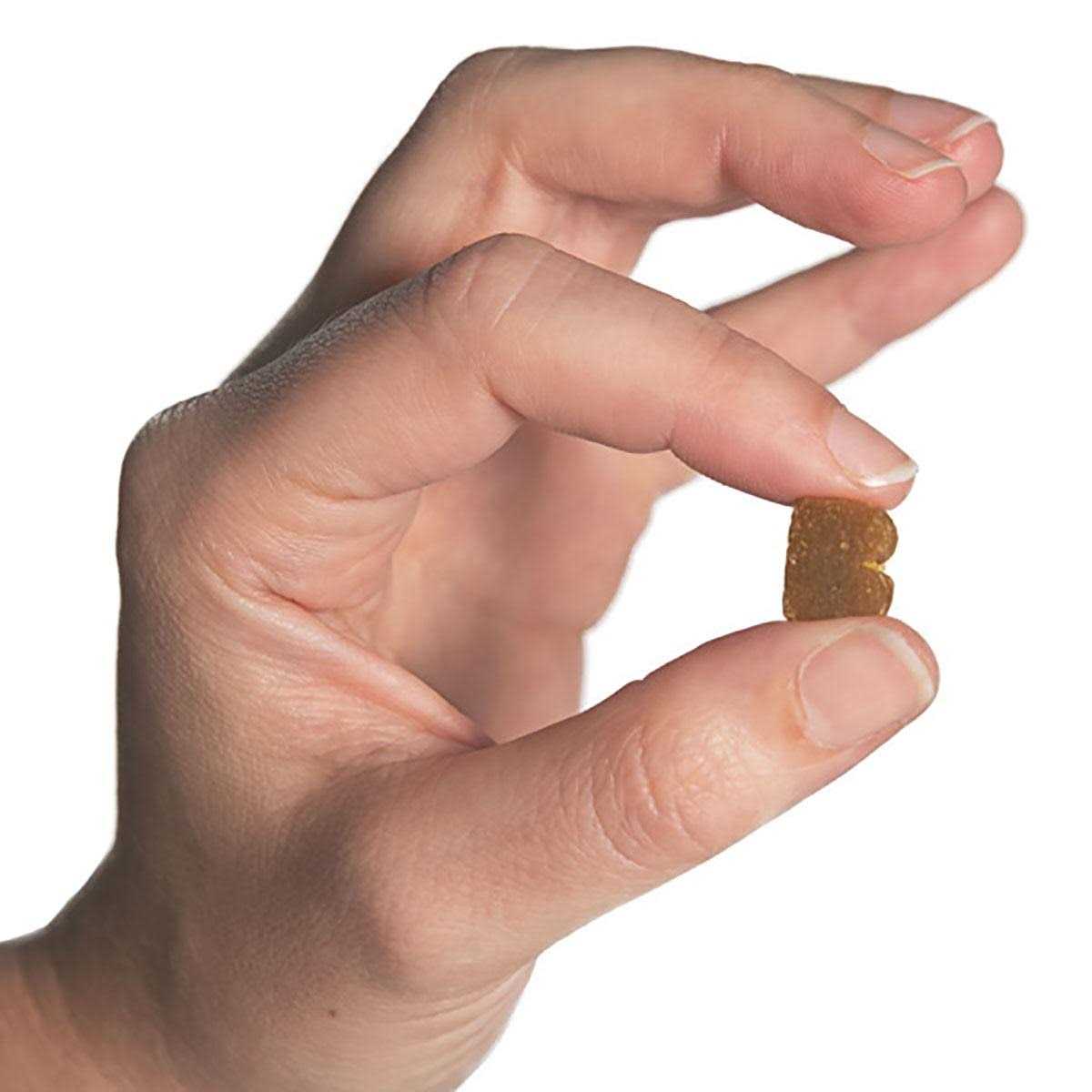 Bixbi Pocket Trainers Dog Treats