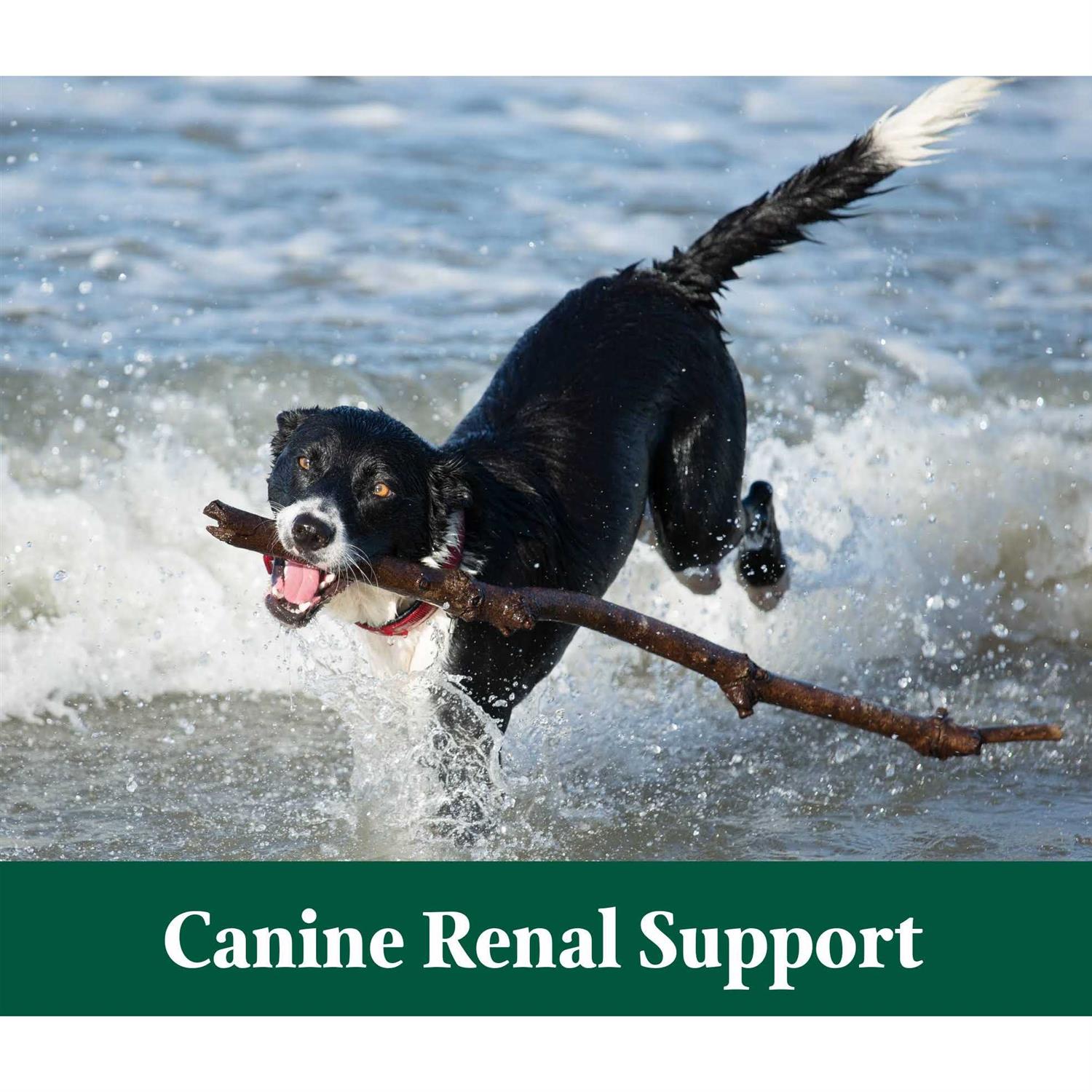 Canine Renal Support 3.9 oz