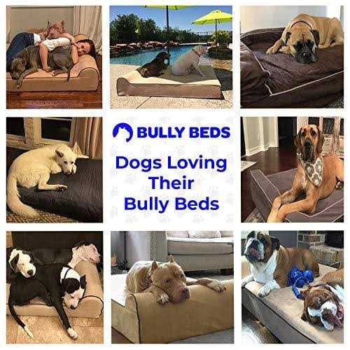Bully Beds Bully Bed Orthopedic Waterproof Dog Beds
