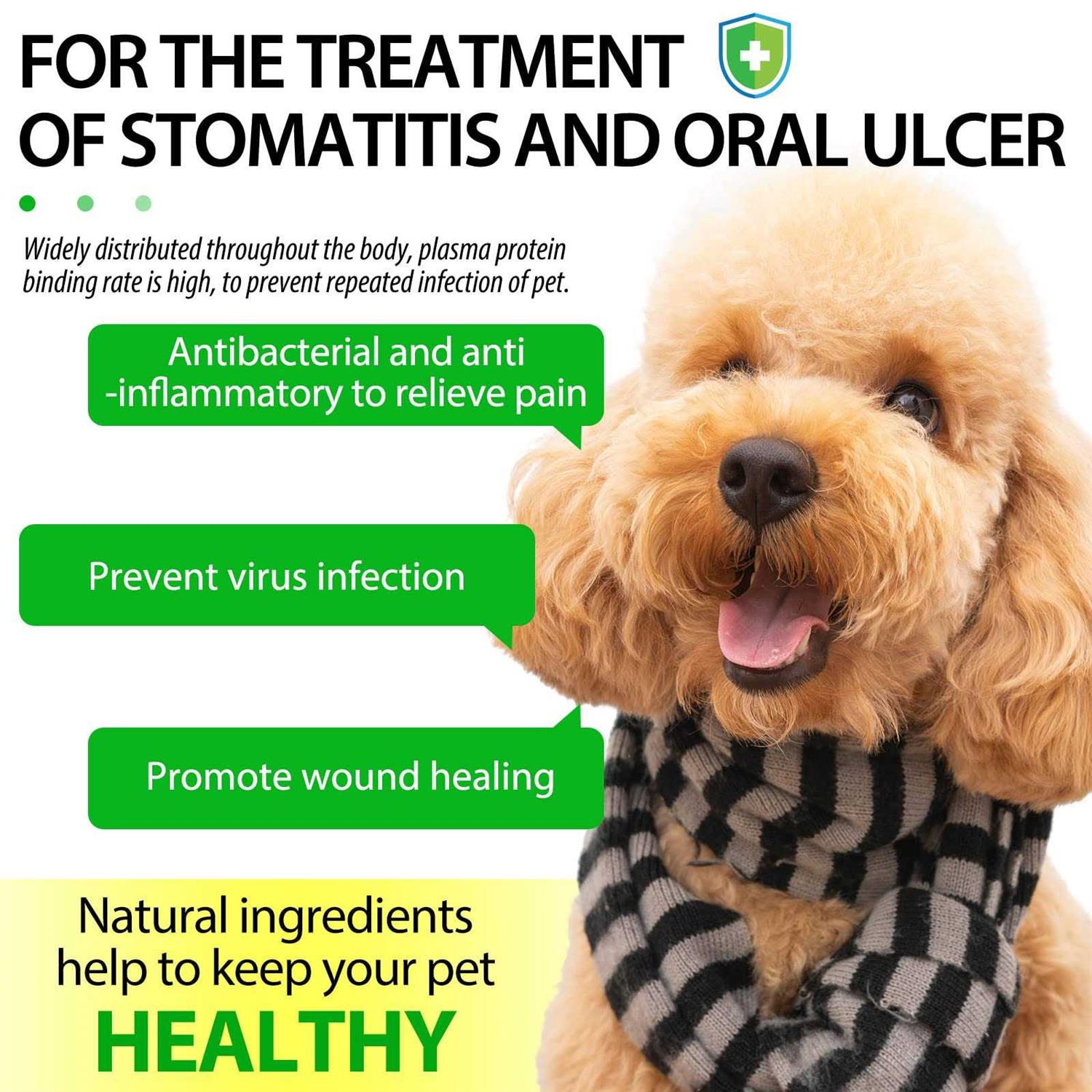 Antibiotics for Dogs, Natural Dog Antibiotics Supports Dog Allergy and Itch Relief