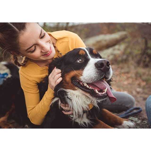 NaturVet Advanced Probiotics Enzymes