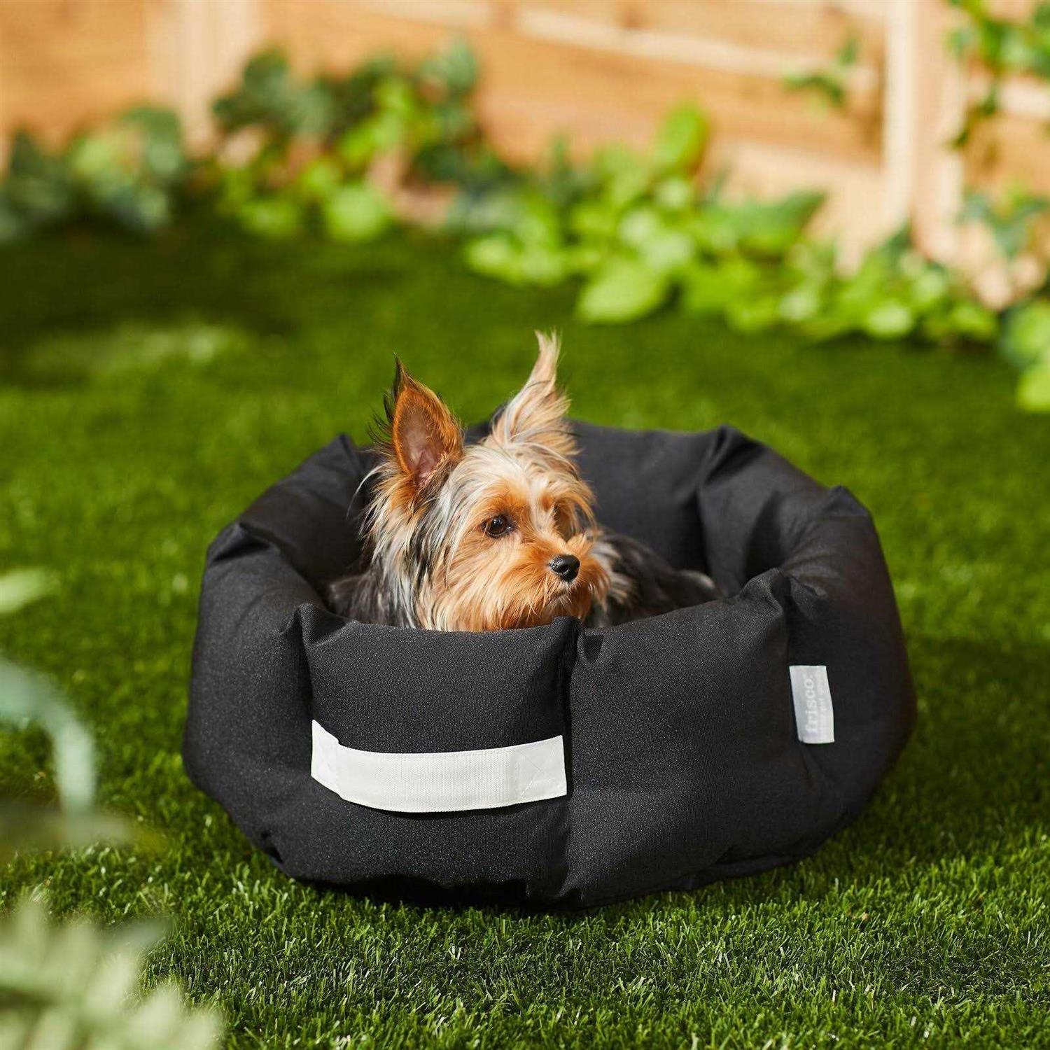Frisco Indoor/Outdoor Bolster Cat & Dog Bed