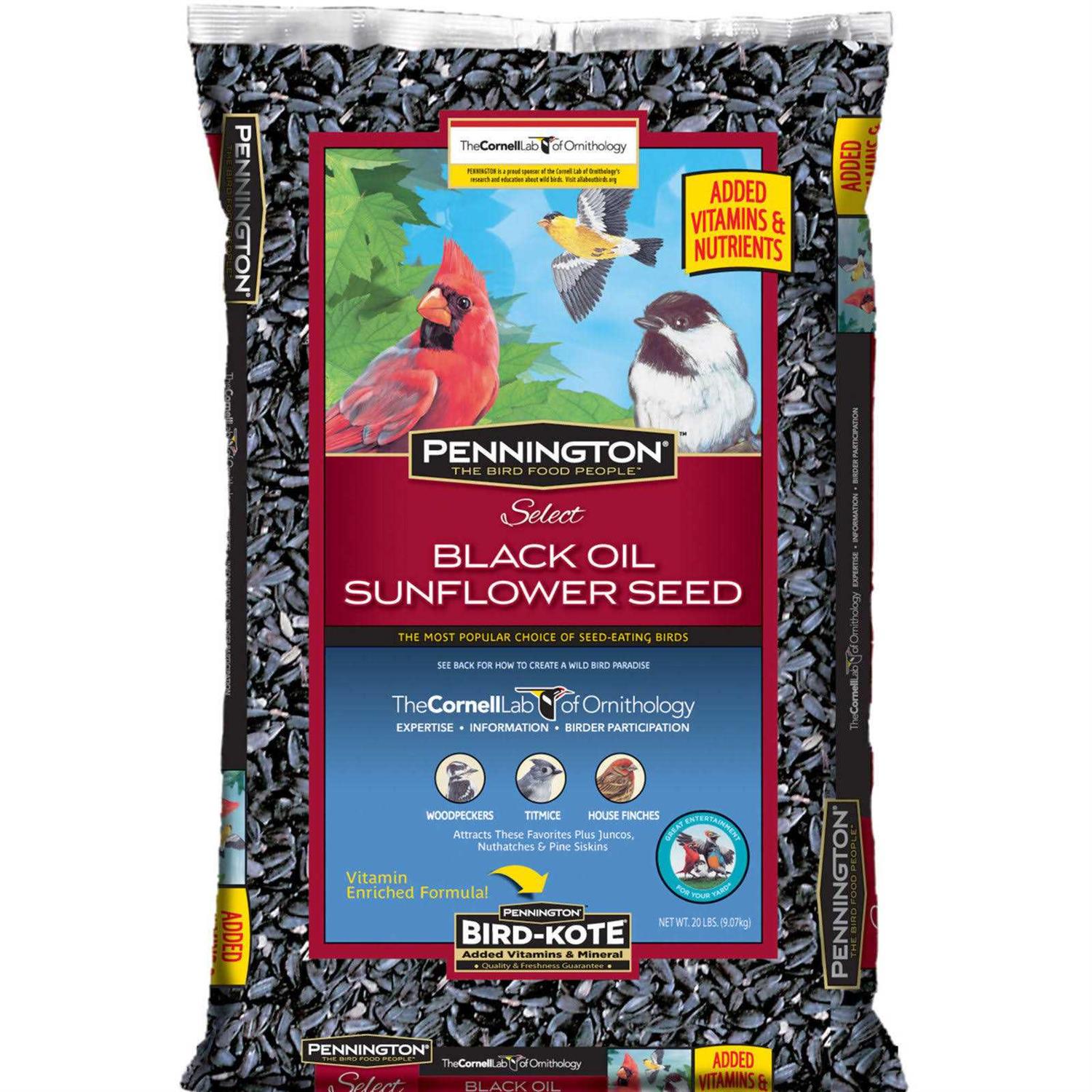 Pennington Select Black Oil Sunflower Seed Wild Bird Feed