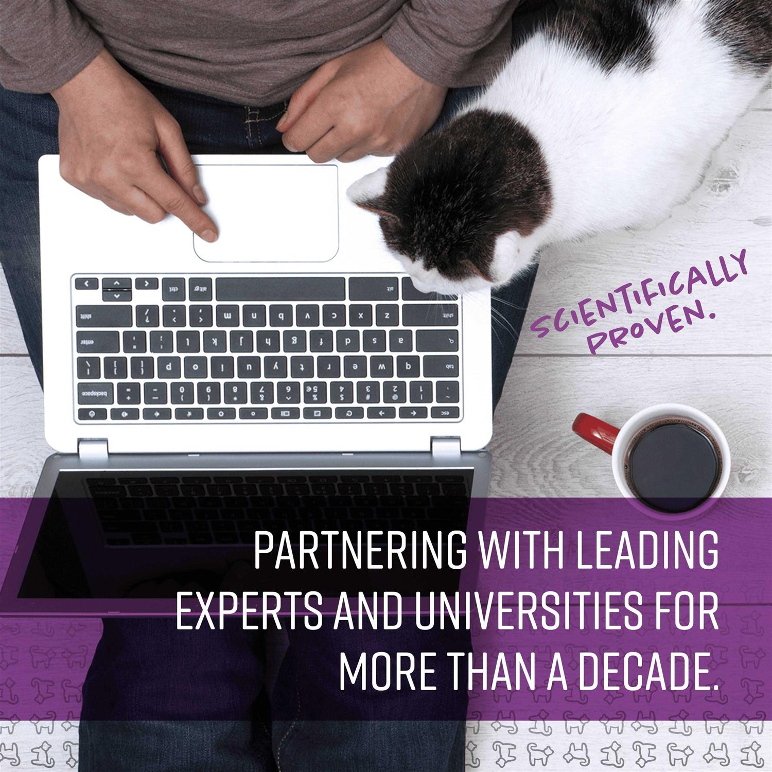 Sentry Calming Spray for Cats