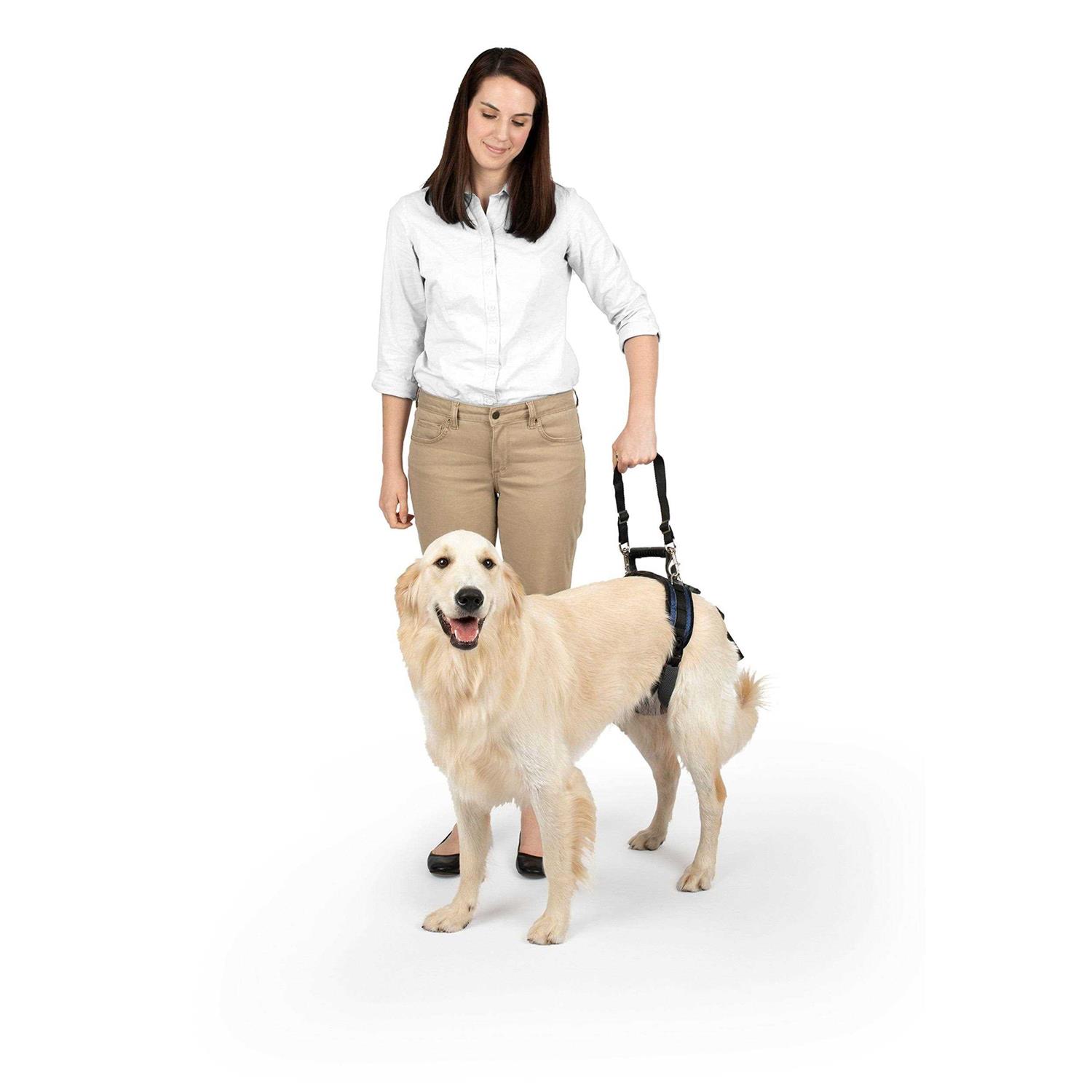 PetSafe CareLift Dog Rear Harness